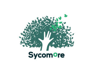 Sycomore